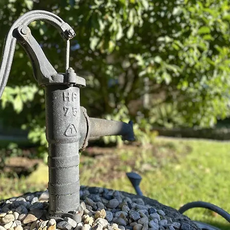 Vogel Ferienhaus Pirna