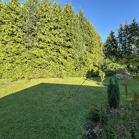 Vogel Ferienhaus Pirna