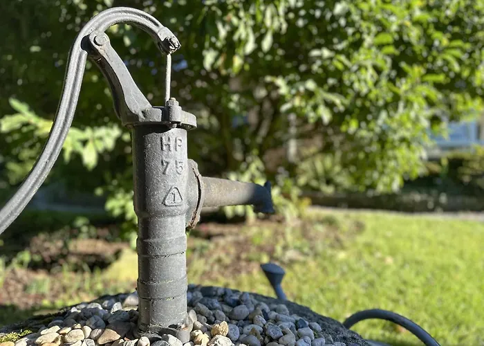 Vogel Casa vacanze Pirna