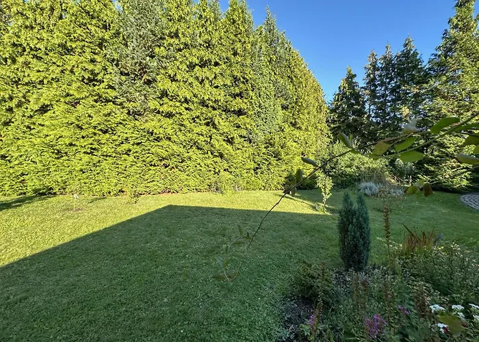 Vogel Casa vacanze Pirna